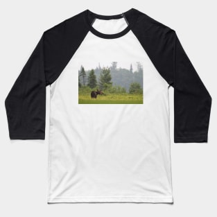 Grassy marsh moose - Algonquin Park, Canada Baseball T-Shirt